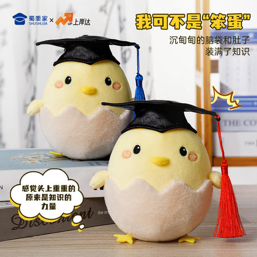 【毕业蛋钥匙扣】可定制创意毛绒钥匙扣包包挂饰挂件毕业送礼礼品礼物 商品图3