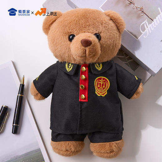 【法官站姿熊】可定制创意毛绒职业小熊公仔儿童玩具服装可脱送礼礼物 商品图8