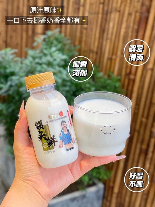 🏆奥运运动员吴艳妮代言品牌🔥「椰谷领头鲜椰汁」国家队都在喝的鲜椰汁🥥❗10瓶💰39.9！椰谷升级新包装高端款-⁢领头鲜鲜椰汁245g/⁭瓶，⁢椰汁控停不下来的生榨椰汁！⁫ 商品图4