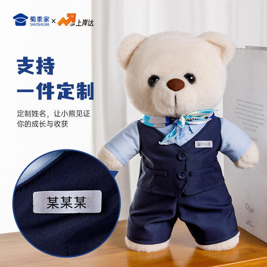 【银行职员站姿熊】可定制创意毛绒职业小熊公仔儿童玩具服装可脱送礼礼物 商品图1