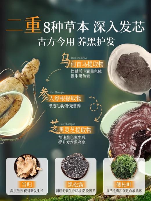 【草本养发固发 焕现柔顺亮泽】何首乌洗发水养发去屑止痒控油蓬松变黑发纯植物神器男女品牌正品 商品图3