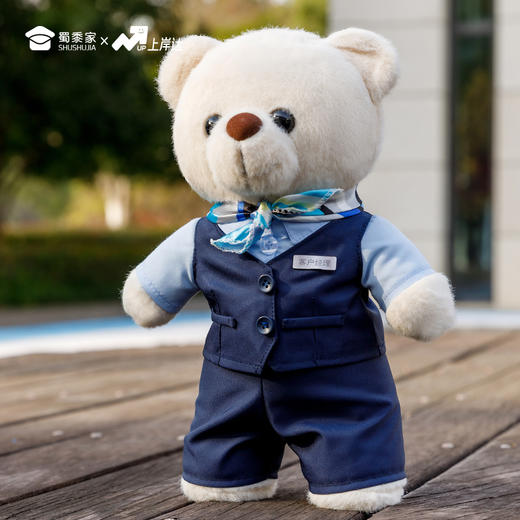 【银行职员站姿熊】可定制创意毛绒职业小熊公仔儿童玩具服装可脱送礼礼物 商品图8