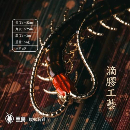 吾蟲 - 蜈蚣胸针 黄铜+滴胶 个性配饰饰品 昆虫节肢类主题礼品【官方授权  48小时发货】 商品图4