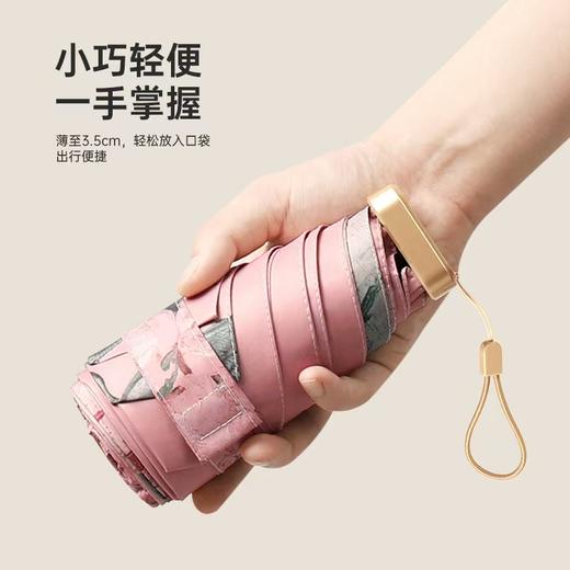 三浦植造MINI油画胶囊伞，UPF50+专业级防晒，有效阻隔99%紫外线，超轻便携设计，4款经典油画印花 商品图2