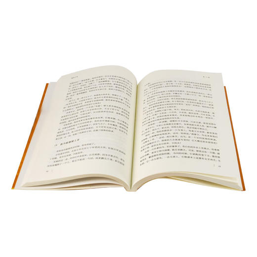 怒目少年（回忆录四部曲之二）王鼎钧作品 现当代文学经典之作  三联书店 商品图2