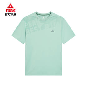 匹克2025年新款训练跑系列男款圆领短袖T恤F6252131