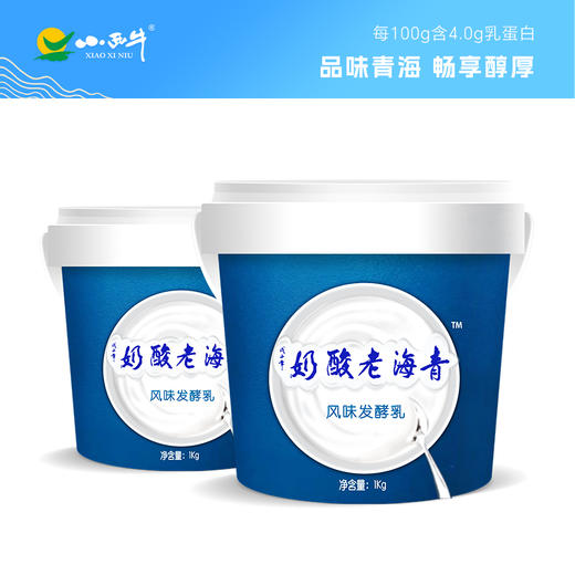【光明&小西牛】顺丰包邮 青海桶装老酸奶4.0g蛋白原味益生菌酸奶 1KG*2桶 商品图0