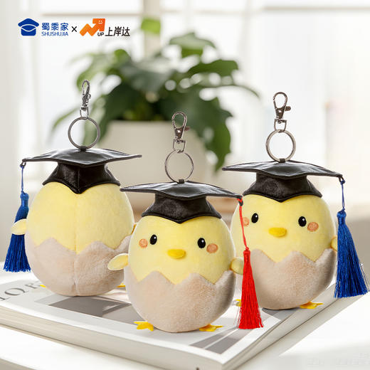 【毕业蛋钥匙扣】可定制创意毛绒钥匙扣包包挂饰挂件毕业送礼礼品礼物 商品图9