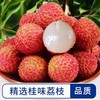 桂味荔枝（约500G） ☆/份 商品缩略图0
