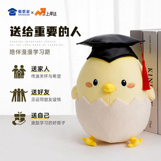【毕业蛋公仔（可定制）】创意毛绒公仔摆件毕业送礼礼品礼物 商品图4