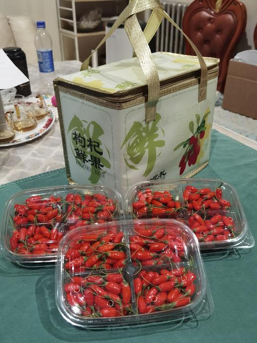 【现采现发 头茬鲜果】限量头茬鲜枸杞 宁夏中宁现摘现发 大颗粒鲜红枸杞 头茬大果500g（仅售1000份，预计7月15日下架） 商品图7