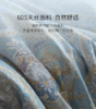 罗卡芙 伊鲁特花园天丝亲肤夏凉被 商品缩略图2