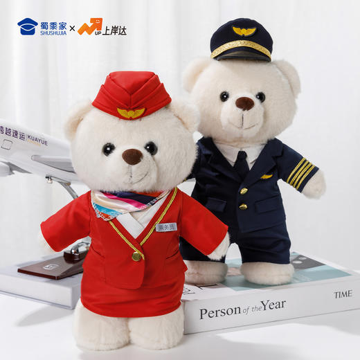 【机长&空姐站姿熊】可定制创意毛绒职业小熊公仔儿童玩具服装可脱送礼礼物 商品图7