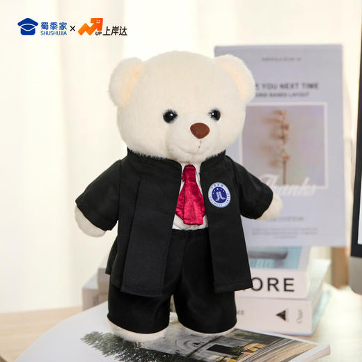 【律师站姿熊】可定制创意毛绒职业小熊公仔儿童玩具服装可脱送礼礼物 商品图7