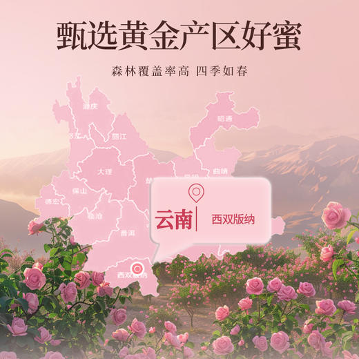 【央妈认证】汪氏雪颜玫蜜全新升级健康滋养甜蜜女性严选蜂蜜460g 商品图1