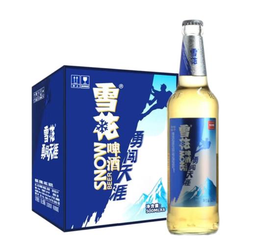 雪花500ml*6勇闯天涯啤酒（手提箱） 商品图0