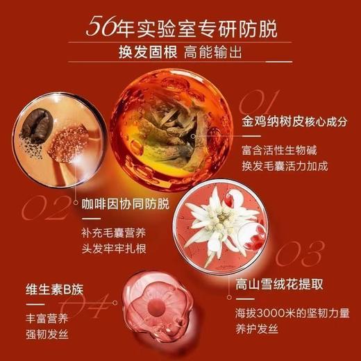 【保税仓】klorane康如荨麻/水薄荷/柑橘洗发水400ml 商品图2