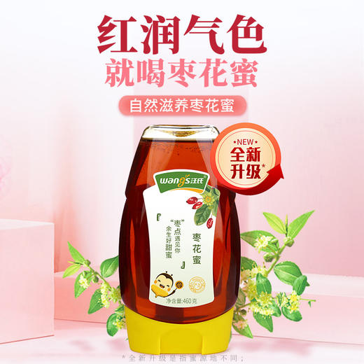 【央妈认证】汪氏纯正枣花蜜全新升级优质挤压瓶蜂蜜460g 商品图0