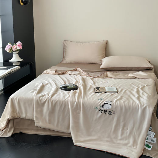 南方生活天竹刺绣蚕蛹蛋白夏被200*230cm熊猫白/冰咖/冰粉/绅士灰/冰蓝 商品图3