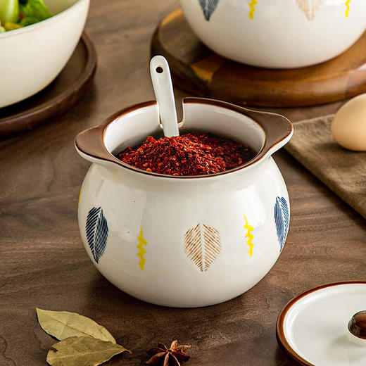 【双耳猪油罐+滤网】陶瓷猪油罐家用耐高温带盖勺厨房油泼辣子罐大容量收纳调味料盐罐 商品图6