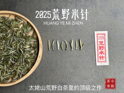 【极致之鲜】2025荒野米针带来白茶顶流的毫香诱惑，细柔、软糯、清润，每一口都是春天 商品图0