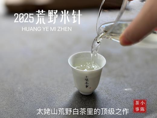 【极致之鲜】2025荒野米针带来白茶顶流的毫香诱惑，细柔、软糯、清润，每一口都是春天 商品图12