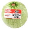 放心嫩南瓜450g 商品缩略图2