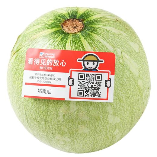 放心嫩南瓜450g 商品图2