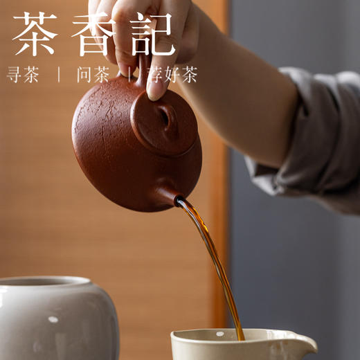 茶香记 涤壶澄心紫砂壶纯红降坡刻绘梅花子冶石瓢190ml茶壶 商品图4