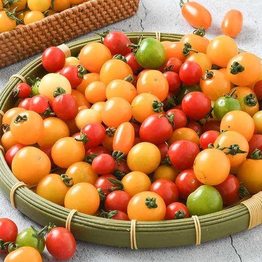多彩番茄1.2kg 商品图1