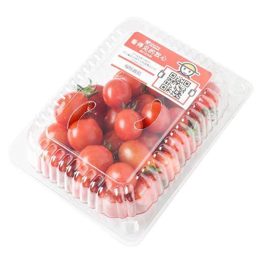 放心樱桃番茄350g 商品图3