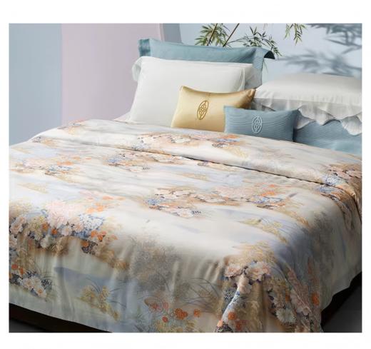 惠谊滑爽天丝™空调被 满溪江畔抗菌夏被 商品图0