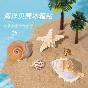 【夏日海洋·真贝壳冰箱贴】海螺贝壳五角海星冰箱贴磁性贴