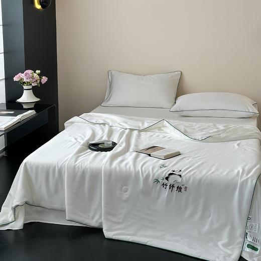 南方生活天竹刺绣蚕蛹蛋白夏被200*230cm熊猫白/冰咖/冰粉/绅士灰/冰蓝 商品图1