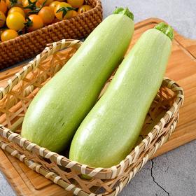 每日伊藤西葫芦瓜500g