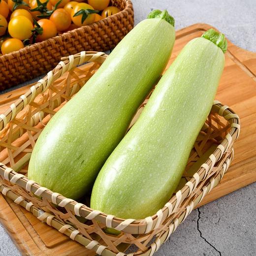 每日伊藤西葫芦瓜500g 商品图0