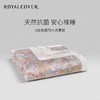 罗卡芙双面天丝可水洗新雪丽纤维夏被 露西安 商品缩略图0