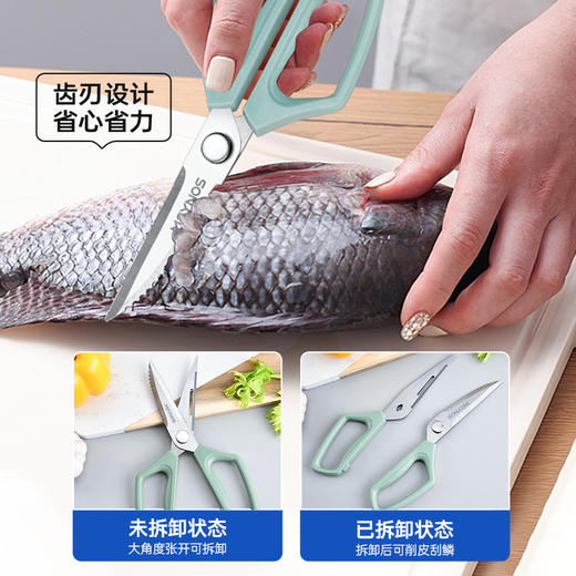 【可削皮可剪骨】MAYNOS鲨鱼剪 2把跟优惠 商品图4