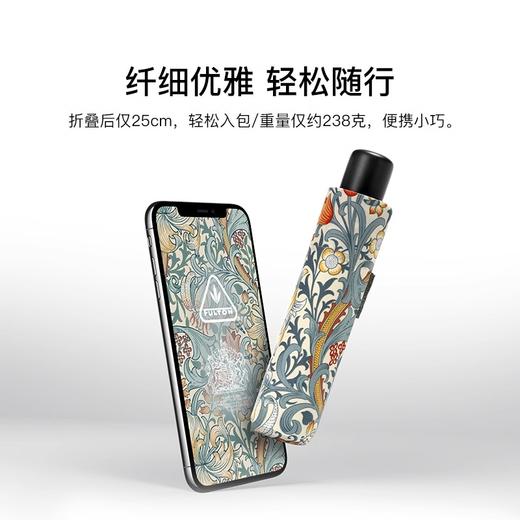 Fulton 富尔顿FULTON英国进口MORRIS金百合雨伞防晒 商品图1