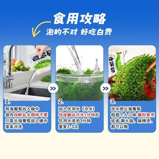 盐渍海葡萄4袋|植物界的“鱼子酱”，口感爽脆爆珠，咸鲜芳香 商品图5