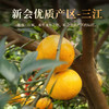 云顶新会御陈皮五年陈藏 新会陈皮130g 商品缩略图4