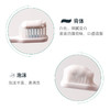 牙博士草本美白牙膏180g 商品缩略图3