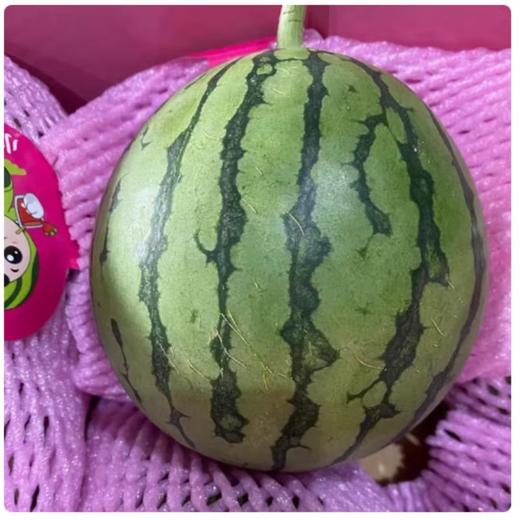 糖丸小西瓜（约3-3.5斤） /个 商品图3