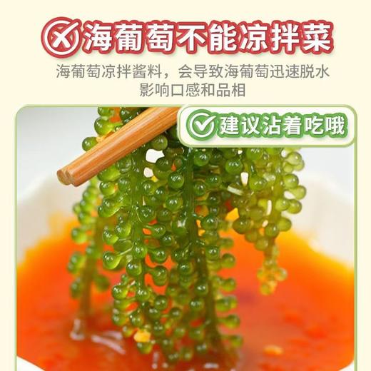 盐渍海葡萄4袋|植物界的“鱼子酱”，口感爽脆爆珠，咸鲜芳香 商品图2