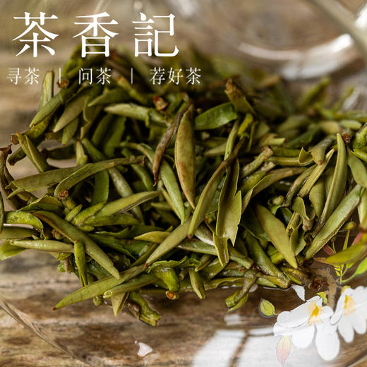 茶香记 荒野贡眉王025白茶群体种菜茶贡眉王高山荒野韵甜爽好喝 商品图5