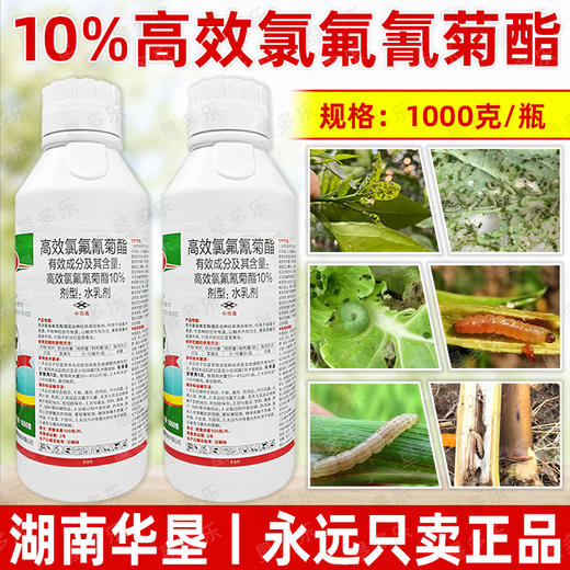 10%高效氯氟氰菊酯蚜虫玉米螟菜青虫专用广谱杀虫剂功夫菊酯农用 商品图3