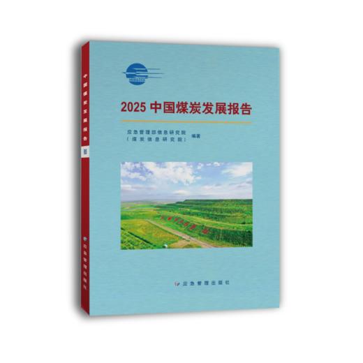 2025中国煤炭发展报告 商品图0