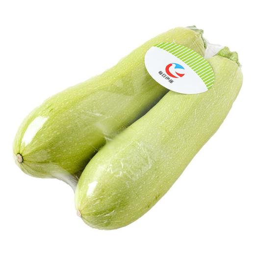 每日伊藤西葫芦瓜500g 商品图3