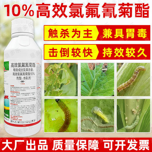 10%高效氯氟氰菊酯蚜虫玉米螟菜青虫专用广谱杀虫剂功夫菊酯农用 商品图1