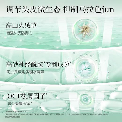 ADOLPH阿道夫 精油洗护专研洗发香乳(净屑舒爽)520ml 6936000903970 商品图3